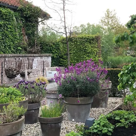 Het Pakhuys Bed & Breakfast De Rijp