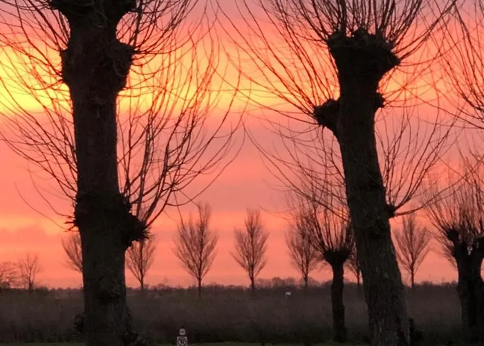 לינה וארוחת בוקר Het Pakhuys דה רייפ