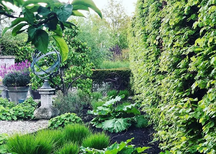 Het Pakhuys 3* De Rijp