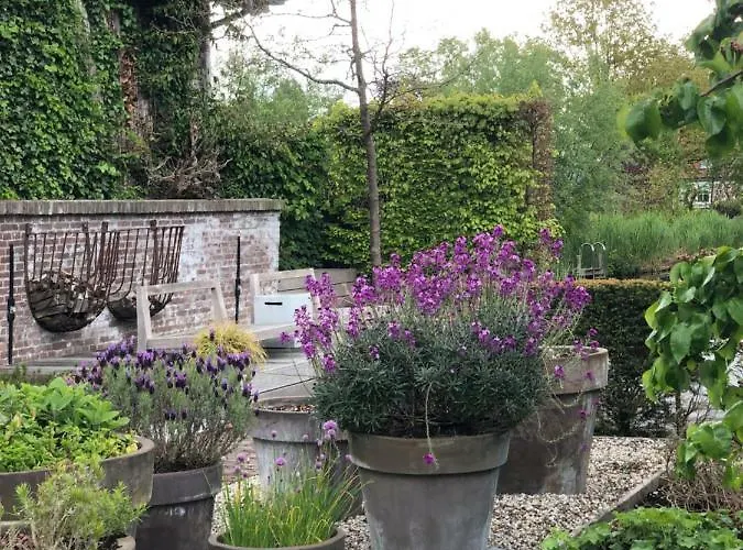 Het Pakhuys Bed & Breakfast De Rijp